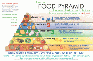 food_pyramid_food_intake1
